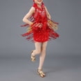 thumbnail image 2 of RMGVDSD Girls Spring Dresses Girls Latin Dance Dress Sparkling Fringe Performance Stage Party Wear Sequined Sleeveless Tassel Dance Dresses 7-8 Years, 2 of 3