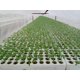 thumbnail image 3 of 20*27 (50个) Rockwool Cube Rockwool Plugs Propagación Bloque hidropónico Cilíndrico Vegetal Plántulas Invernaderos Sistema de cultivo Accesorios de jardín 50PCS TUNC Sencillez, 3 of 5
