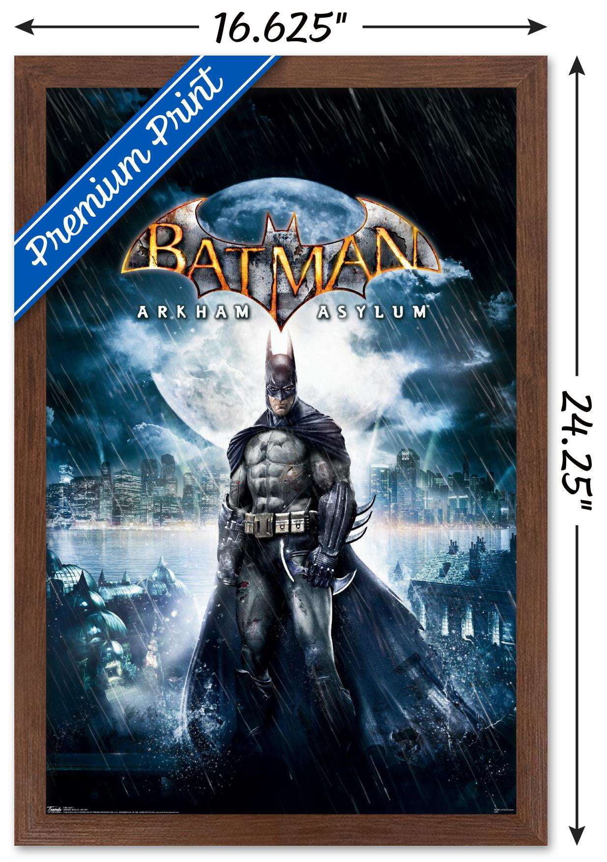 DC Comics VIdeo Game - Arkham Asylum - Key Art Wall Poster with Wooden  Magnetic Frame, 