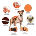 thumbnail image 5 of Beirui Strong No Pull Nylon Dog Harness Soft Padded Pet Training Vest Reflective Adjustable Waterproof with Handle, 5 of 11