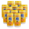 thumbnail image 1 of Pet Wipes Wet Ones, toallitas multiusos para perros, aloe vera, 50 unidades, 1 of 8