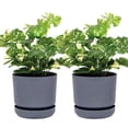 thumbnail image 1 of Set De 2 Macetas Elly Decor Con Plato Drenaje Interior Exterior 12 Pulgadas Gris, 1 of 5