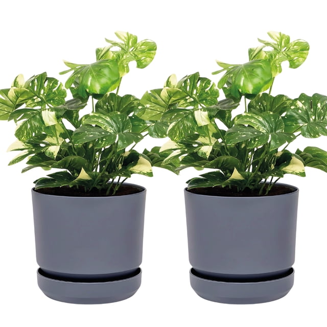 Set De 2 Macetas Elly Decor Con Plato Drenaje Interior Exterior 12 Pulgadas Gris