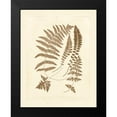 thumbnail image 2 of Vision Studio 20x24 Black Modern Framed Museum Art Print Titled - Sepia Ferns II, 2 of 5
