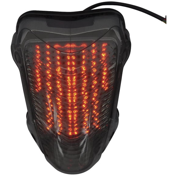 BikeMaster TZY-158-INT Integrated Taillight