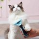 thumbnail image 2 of Pet Hair Comb | Pet Hair Grooming Brush | Pet Hair Removal Tool, Massage Brush for Long and Short, 2 of 5