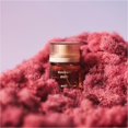 thumbnail image 5 of Perfume Snif Sweet Ash, colonia para hombres y mujeres, discreto aroma dulce y terroso, fragancia fina de larga duración, limpio, no tóxico, vegano, libre de crueldad, 30 ml, 5 of 5