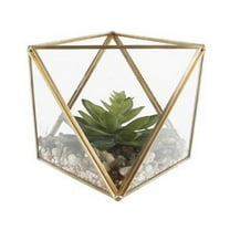 7' Glass Square Open Top Terrarium with faux succulents garden, MD