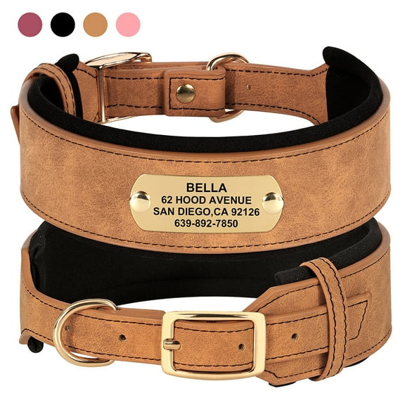 Wide Leather Dog Collar Personalized with Nameplate Soft Padded for Medium Large Dogs