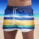 thumbnail image 1 of Bañadores de cinco puntos de secado rápido con cordón de secado rápido para hombres y mujeres, deportes transpirables, surf, vacaciones en la playa, bañadores de playa, bañadores de natación Pompotops  qyievc7694, 1 of 3