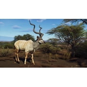 Way of the Hunter: Wild Expeditions, PlayStation 5