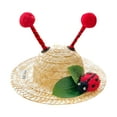 thumbnail image 2 of Walbest Dog Sombrero Hat, Sun Hat, Bee Style Hats for Pets Birthday Hats and Party Decoration, 2 of 7