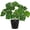Green, variant on 11.8'' Realistic Monstera Artificial Potted Indoor Houseplant in Black Pot for Decor Wedding Centerpiece Dining Table , White Leaves