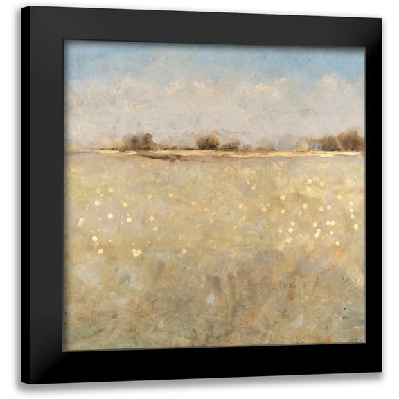 OToole, Tim 12x12 Black Modern Framed Museum Art Print Titled - Meadow Plane I