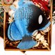 thumbnail image 3 of KAKOWELY Juguete de peluche para niños pequeños, encantador juguete de peluche, juguete de peluche, juguete de peluche, almohada para niños, 3 of 5