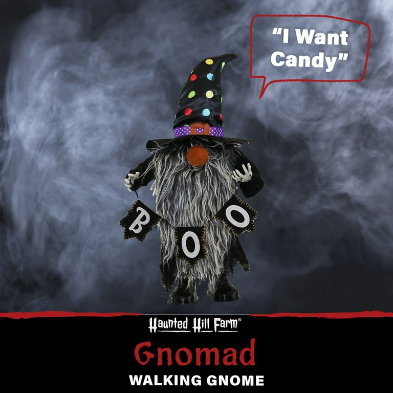 Halloween Gnome Holding Hey Boo Banner