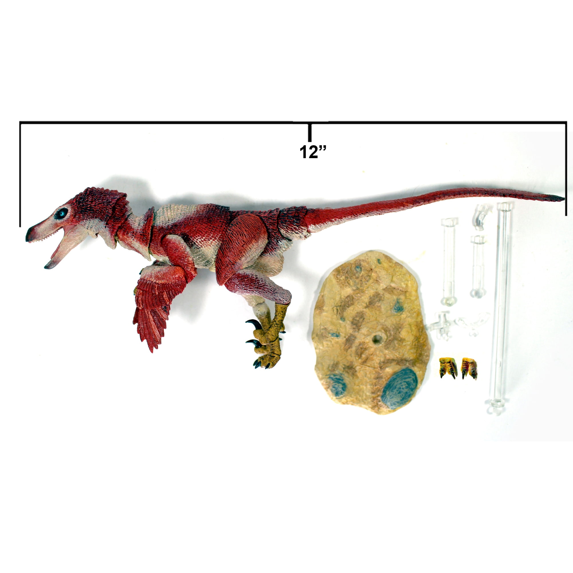 Beasts Of The Mesozoic: Velociraptor Osmolskae Version 2 Red - 1/6 Scale Dinosaur Action Figure -12" Articulated Collectible Miniature, Hand-Painted