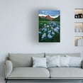thumbnail image 2 of Trademark Fine Art Mei Xu Blue Columbine Paradise Canvas Wall Art - 22x32, 2 of 5