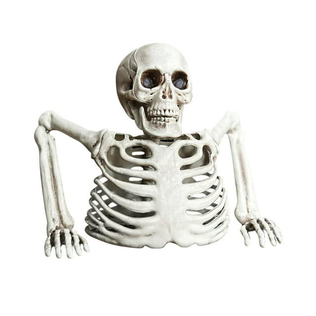 White Plastic Half Skeleton Model Desktop Halloween Prop Decor Spine Rib Cage Decoration Mini Medical Anatomical Display Piece