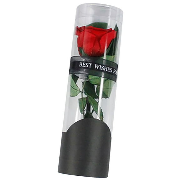 pdqouc Clearance Valentines Rose Gift for Her Gifts for Women Red Rose Flower In Glass Dome with Valentine's Day Lights Artificial Roses Gift for Mom Mothers Day Anniversary Valentines,Wedding Gifts