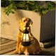 thumbnail image 5 of ADDHAT Adorno De Jardín Con Solar Y Estatua De Perro Duradero En Resina, 5 of 7