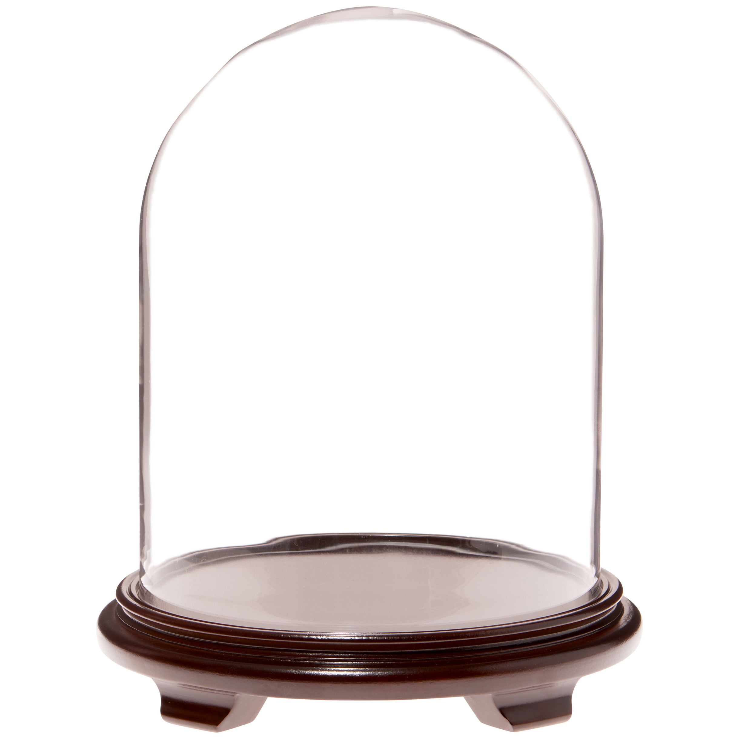 Plymor 11.75" x 15" Glass Display Dome Cloche Walnut Base 