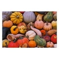 thumbnail image 6 of Shiartex  Autumn Harvest Jigsaw Puzzle 1000 PCS, 6 of 6
