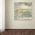 thumbnail image 3 of Trademark Fine Art 'February Sky' Canvas Art by Silvia Vassileva, 3 of 3