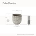 thumbnail image 6 of LuxenHome 12" Dia Large Ceramic Planter Pots for Plants, Stone Gray Glazed Round Planter with Drainage, 6 of 9