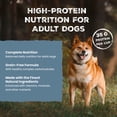 thumbnail image 6 of (6 pack) Blue Buffalo Wilderness Adult Wet Dog Food, Salmon & Chicken Grill, 12.5oz, 6 of 13