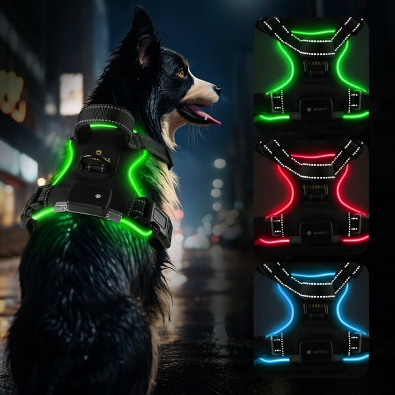 MASBRILL Light Up Dog Harness - No Pull Led Dog Harness Rechargeable Lighted Dog Harness for Night Walking Adjustable Glow Vest for Small Medium Large Dogs