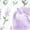 Multicolor, variant on Ketyyh-chn99 Underwear Kids 2024 Cotton Brief Underwear Girls Comfort Assorted Brief Super Soft Cotton Underwear 4PCS (White,3-4 Years)