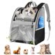 thumbnail image 1 of Mochila transportadora de mascotas Pawaboo para gatos y perros pequeños, color negro, 1 of 7