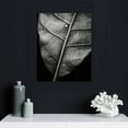 thumbnail image 4 of Nawypu  'Elephant Ear II' by Debra Van Swearingen, Canvas Wall Art,, 4 of 4
