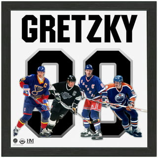 Shop Mitchell & Ness NHL Los Angeles Kings Icon Premium Wayne Gretzky  Jersey T-Shirt (black) online
