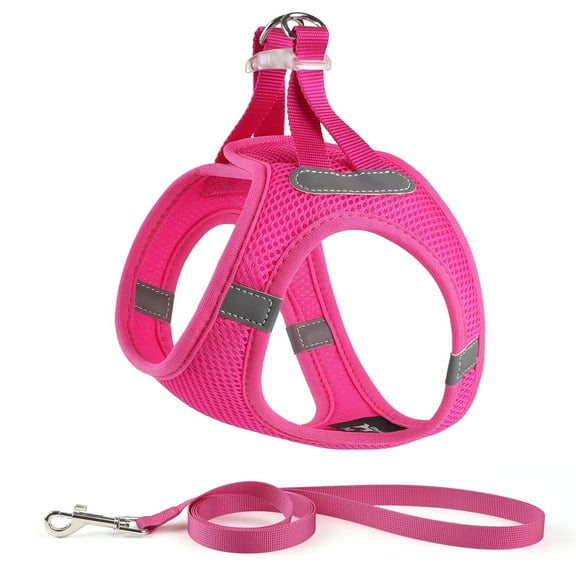 Charkool Reflective Dog Harness and Leash, Adjustable Breathable Dog Vest, Training for Extra Small Dogs, Red