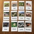 thumbnail image 2 of Modelo de Figuras de Animales de Granja Sunnimix Juguete de Material, 2 of 8