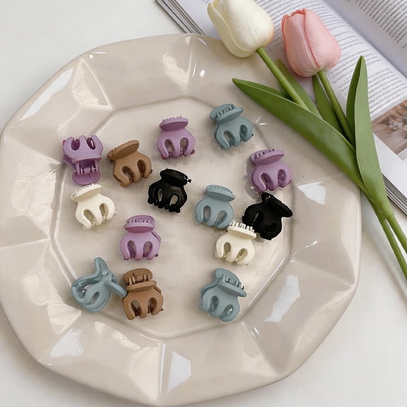 10 Cute Mini Hair Clips - Strong Grip Claw Clip Hair Clips,Hair Accessories for Thin Hair for Birthday, Party Gifts (With Box) Random Colors