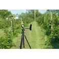 thumbnail image 2 of Kestrel Compact Collapsible Tripod, 2 of 4