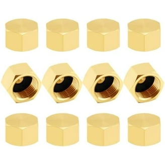 Westbrass D201-10-20 1-5/8 x 2-1/4 Solid Brass Air Gap Cap Only, Non