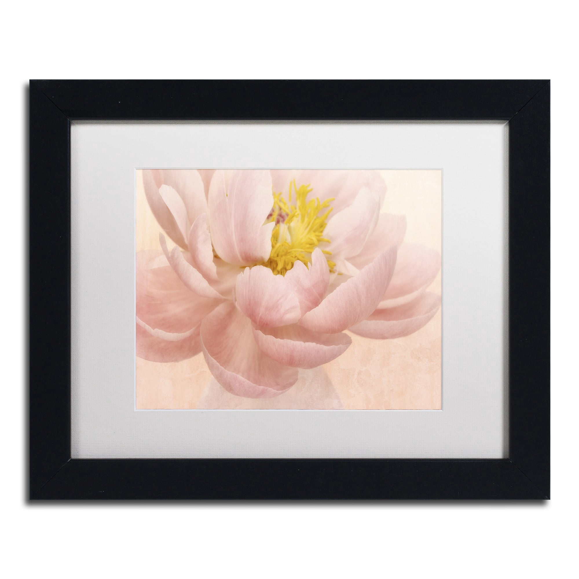 Trademark Fine Art 'Pink Peony' Canvas Art by Cora Niele, White Matte, Wood Frame