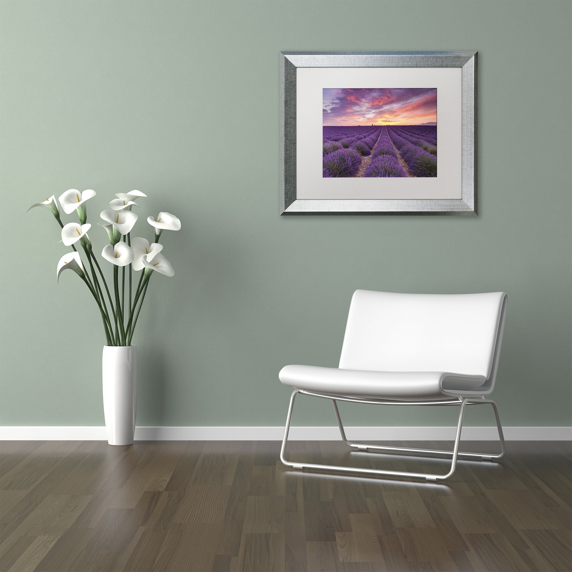 Trademark Fine Art 'Lavender Sunrise' Canvas Art by Michael Blanchette Photography, White Matte, Silver Frame