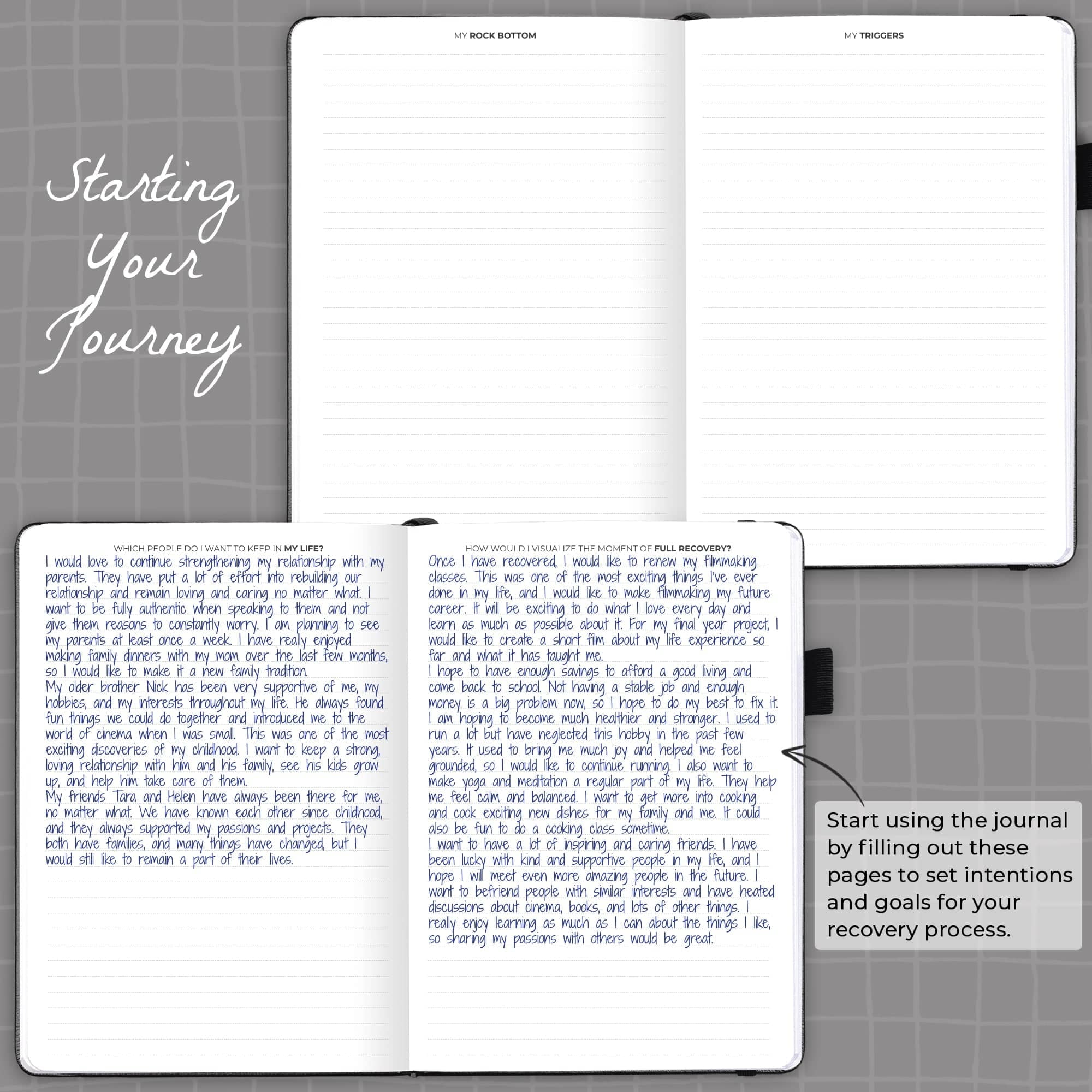 Clever Fox Addiction Recovery Journal
