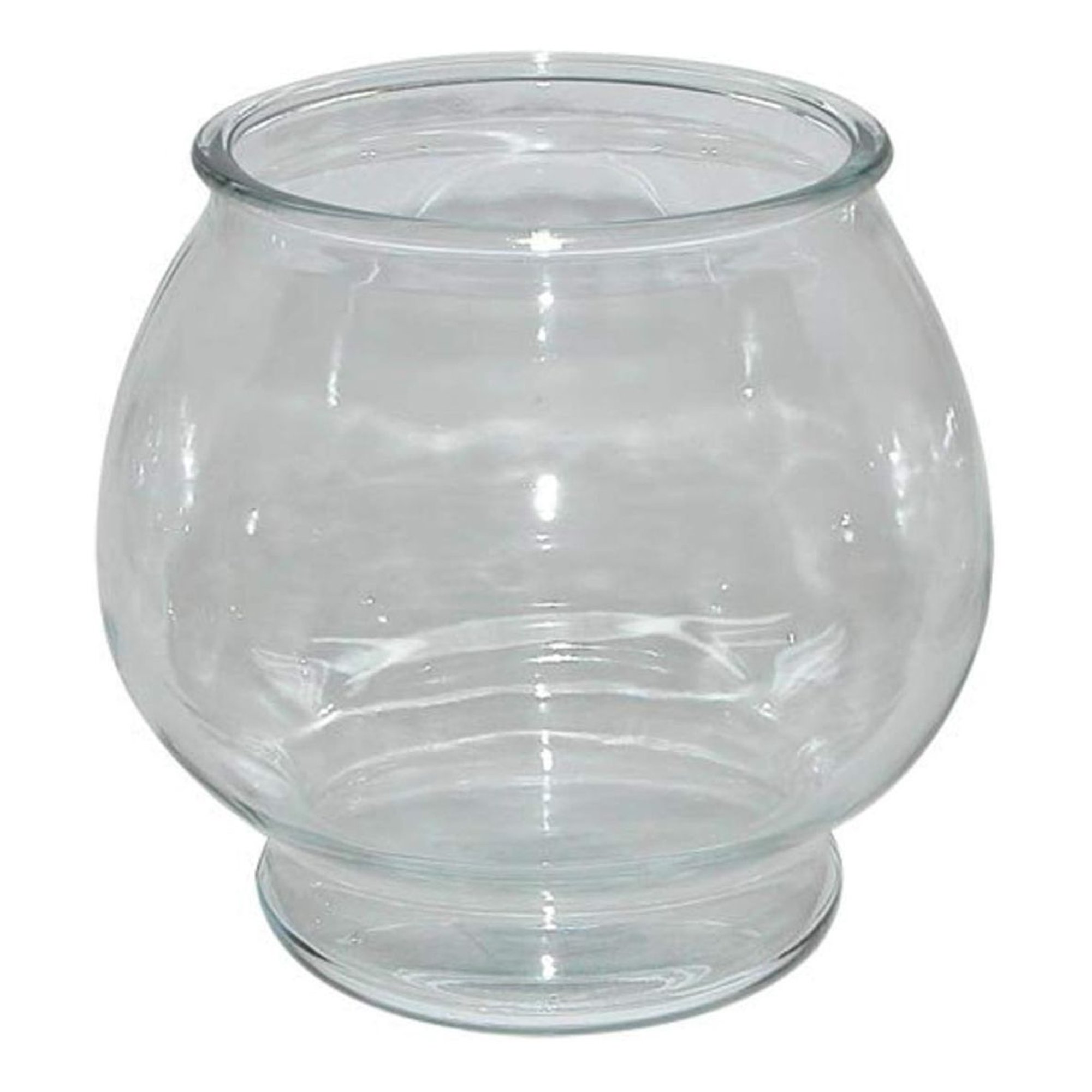 Aqua Culture Fishbowl