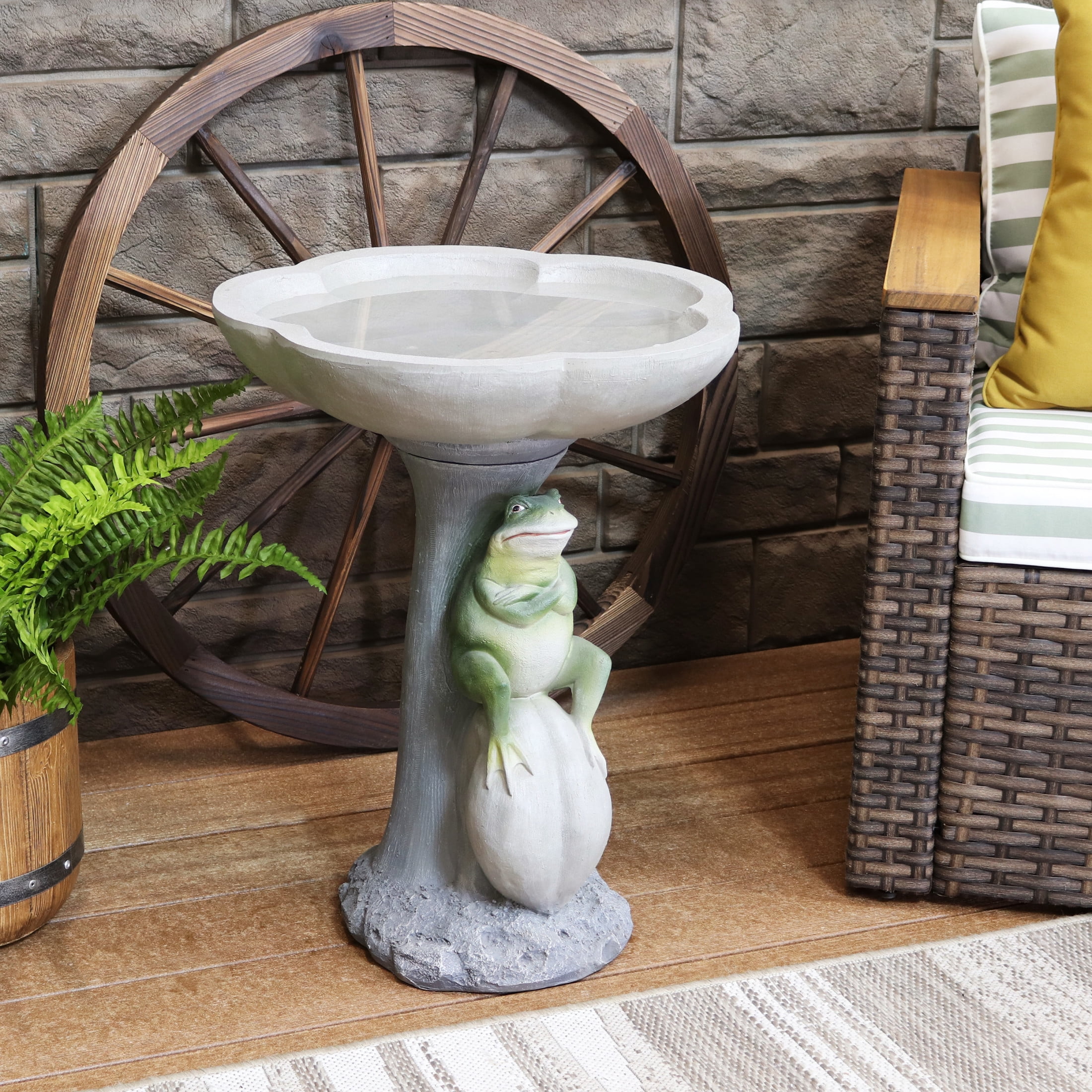 Sunnydaze Freestanding Polyresin Outdoor Bird Bath, Brooding Frog on a Stone