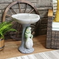 thumbnail image 6 of Sunnydaze Freestanding Polyresin Outdoor Bird Bath, Brooding Frog on a Stone, 6 of 13