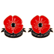 thumbnail image 1 of Broches Flores Con Clip Solapa Metal para El Día Del Recuerdo (C) Rojo, 1 of 4