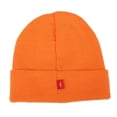thumbnail image 2 of WITHMOONS The Simpsons Beanie Hat Simpsons Embroidery Hat HL51140 (Orange), 2 of 2