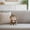 Gold, variant on BotaniNest Cute Soft Cuddle Peach Monkey Toy Children Pillow Doll Cute Monkey Doll