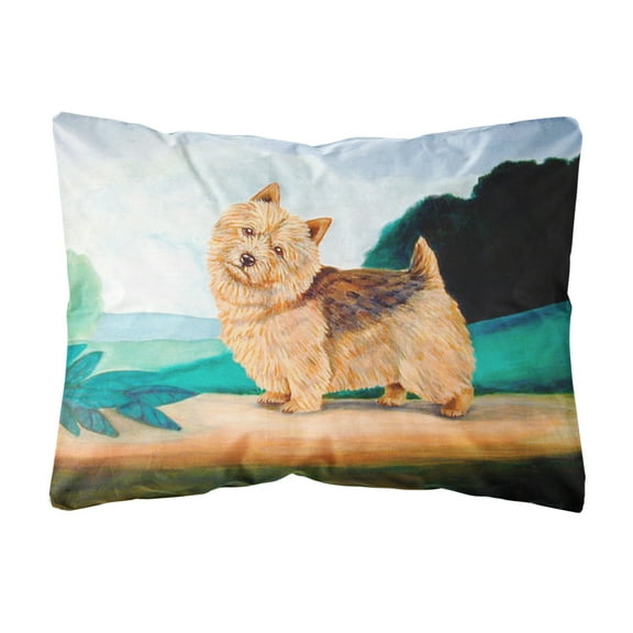 Carolines Treasures 7519PW1216 Norwich Terrier Canvas Fabric Decorative Pillow, 12H x16W, multicolor